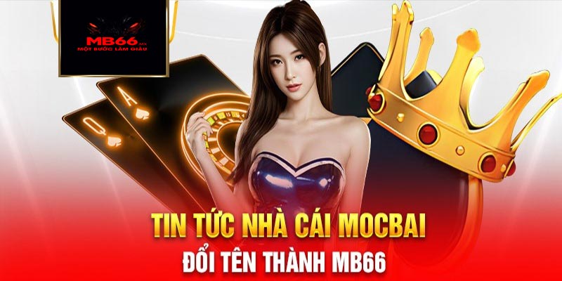 Nội dung trong chuyên mục tin tức MB66